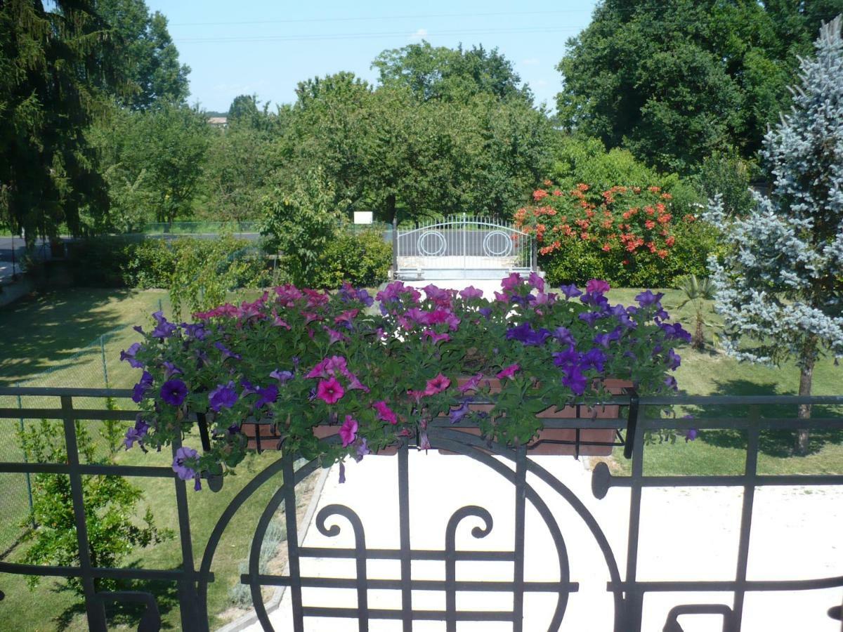 L'Albero Della Gioia Bed & Breakfast Villanova sull'Arda Exterior photo