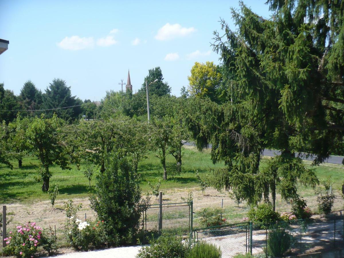 L'Albero Della Gioia Bed & Breakfast Villanova sull'Arda Exterior photo