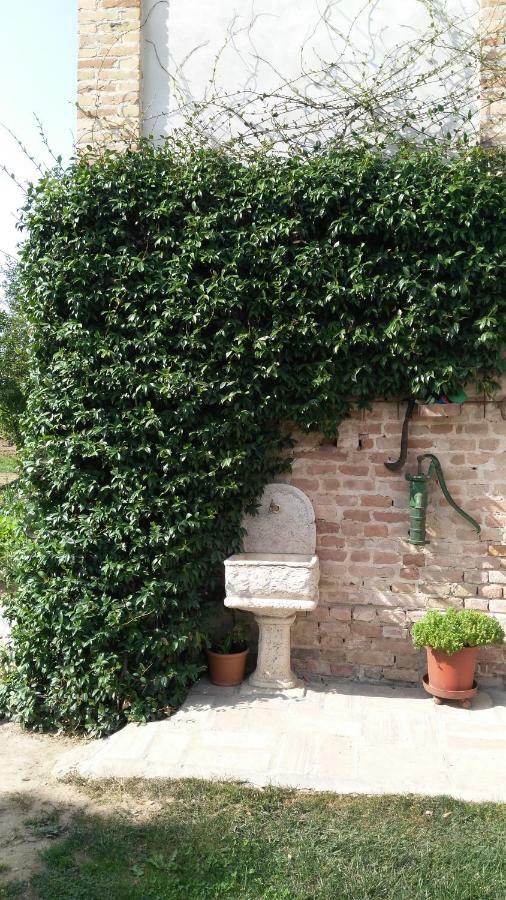 L'Albero Della Gioia Bed & Breakfast Villanova sull'Arda Exterior photo