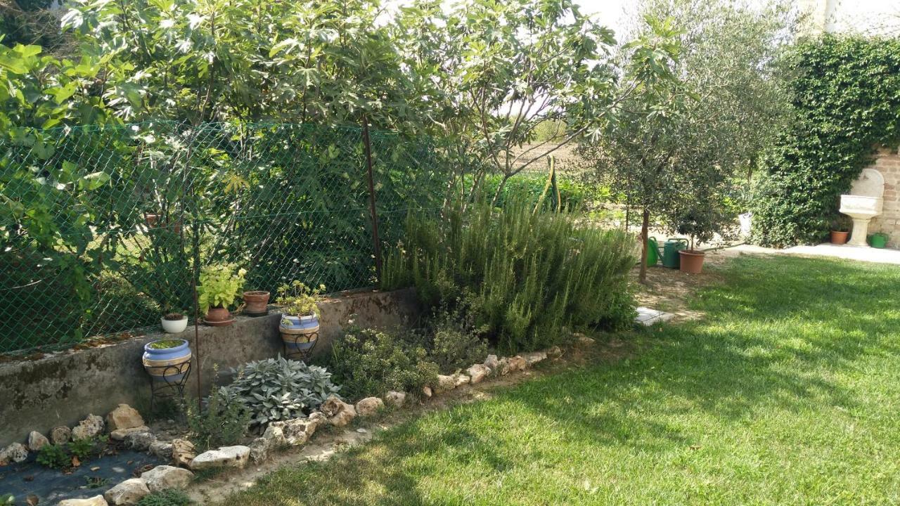 L'Albero Della Gioia Bed & Breakfast Villanova sull'Arda Exterior photo
